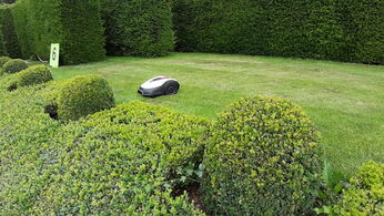 „Roboti už jdou...“ – Honda Míímo pro rok 2020 v „malém“ provedení na plochy do 400m2 